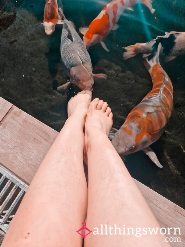 Fishies Sucking My Toes