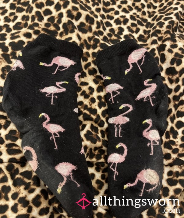 Flamingo Socks,dirty And Worn All Day