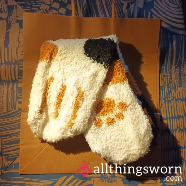 Fluffy Cat Socks - 48hr Wear