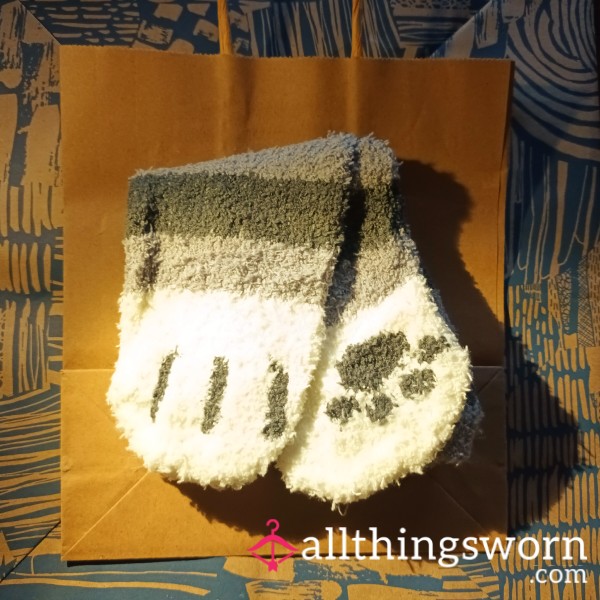 Fluffy Cat Socks - 48hr Wear