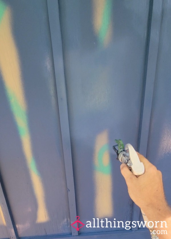 FOR BUYERS AND SELLERS!!! Satisfying Paint Spray