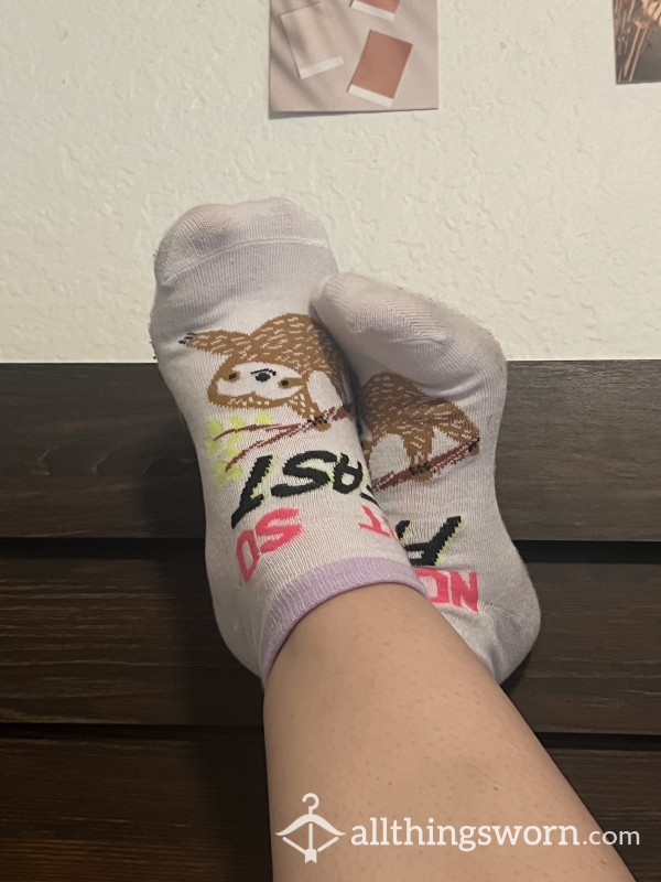 🧦 Fun Sloth Work Socks 🧦