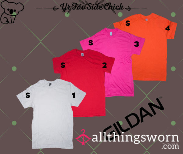 Gildan Cotton T-Shirts #1-4