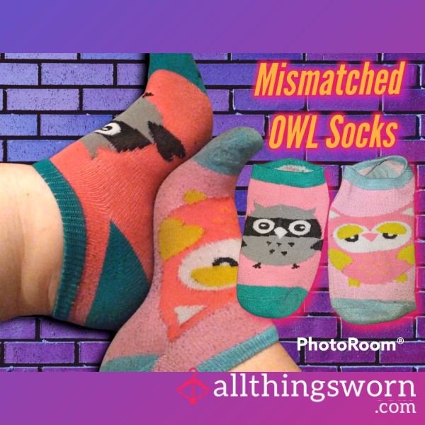 💗Goddess Lola Valentine's Mismatched Owl Socks💜