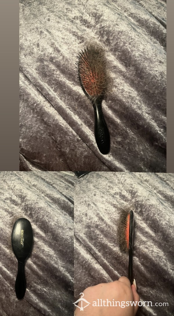 Goddess Old Used Hair Brush