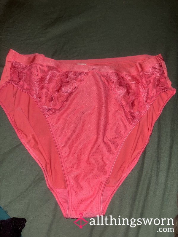 Gorgeous Full Brief Pants Size 20