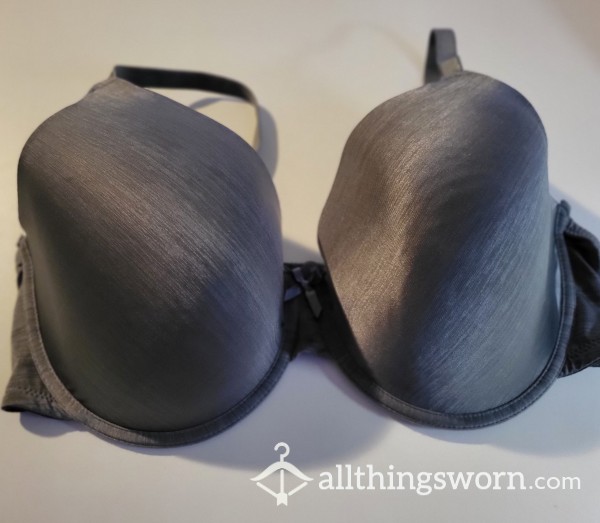 Gray Bra 42D