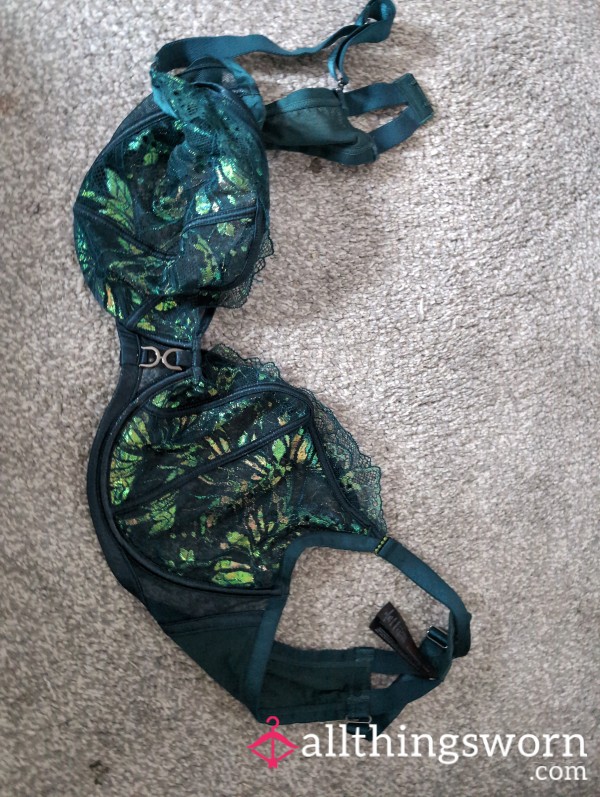 Green Ann Summers Lace Bra - 40F