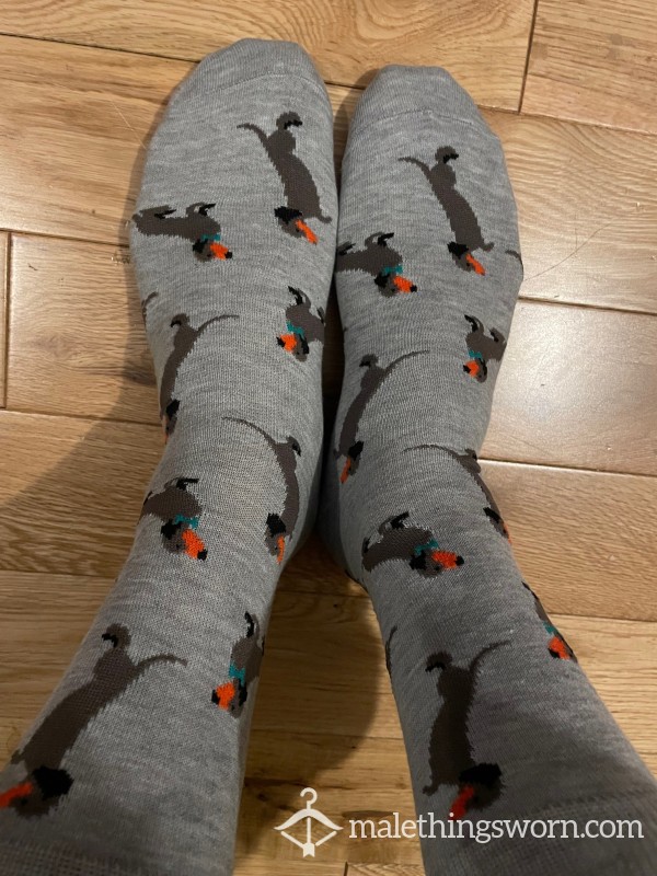 Grey Dachshund Puppy Dog Funky Patterned Dress Socks, You Want To Sniff?