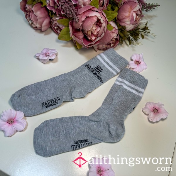 Grey Harvard Socks