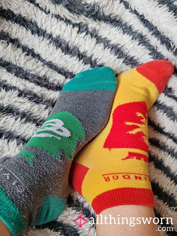 Gryffindor And Slytherin Odd Socks