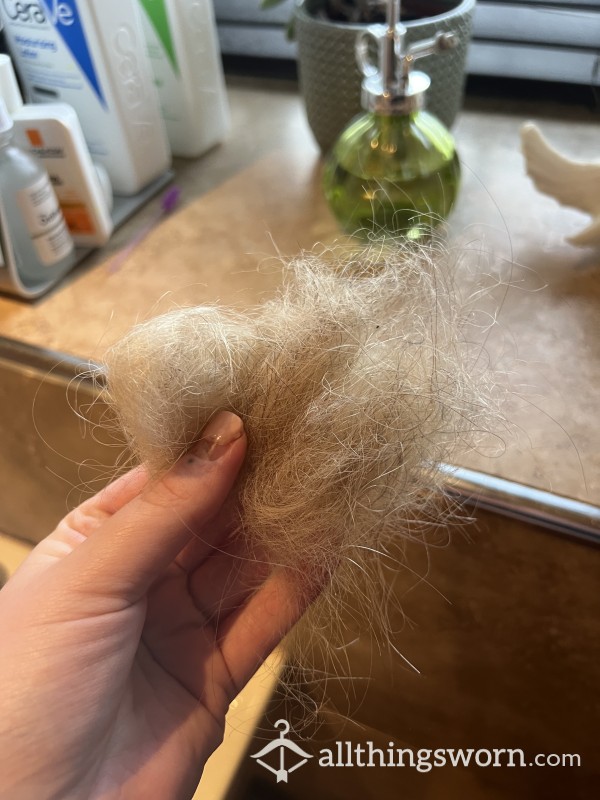 Hair From My Hair Brush…