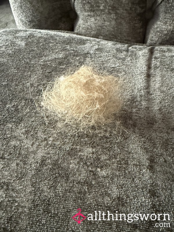 Hair From My Hairbrush