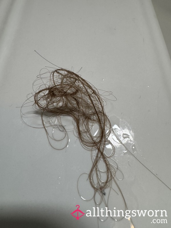 Hair From Shower Drain