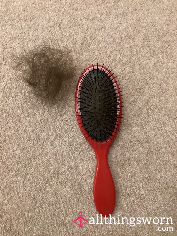 Hair From Worn Out Hairbrush