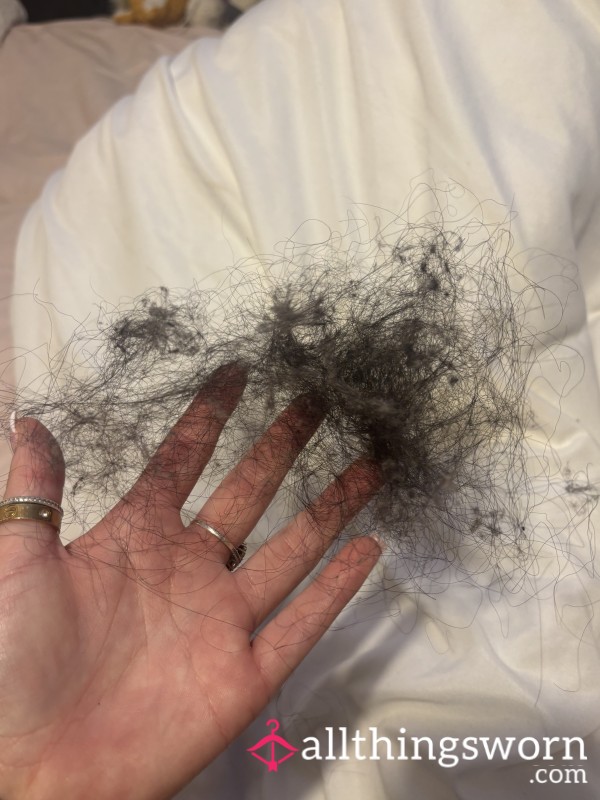 Hair Pulled From My Hairbrush