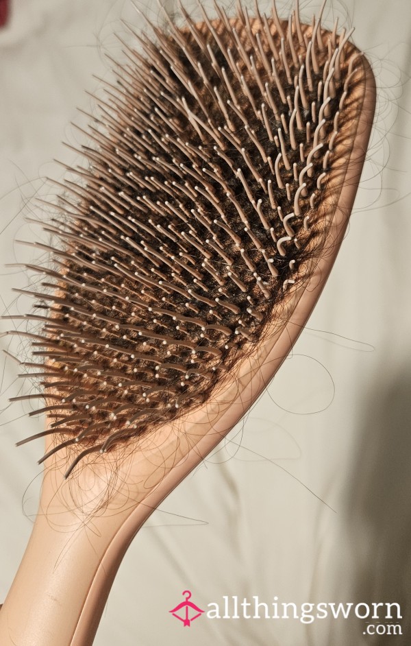 Hairbrush