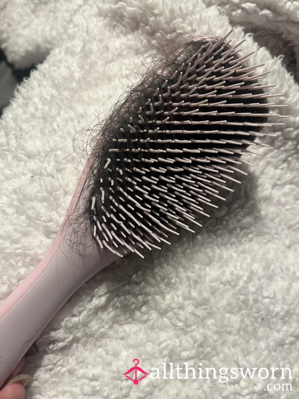 Hairbrush Filled With Hair