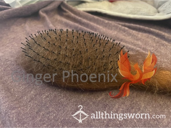 Hairbrush FULL Of Auburn Hair!  Brush, Comb, Or Both