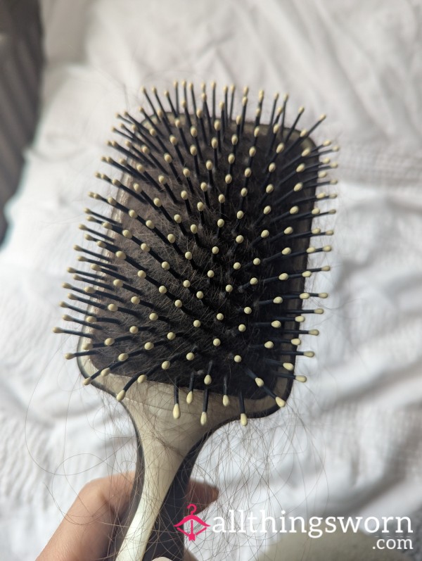 Hairbrush Full Of Hair