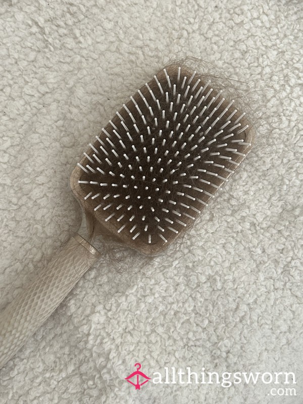 Hairbrush Full Of My Hair