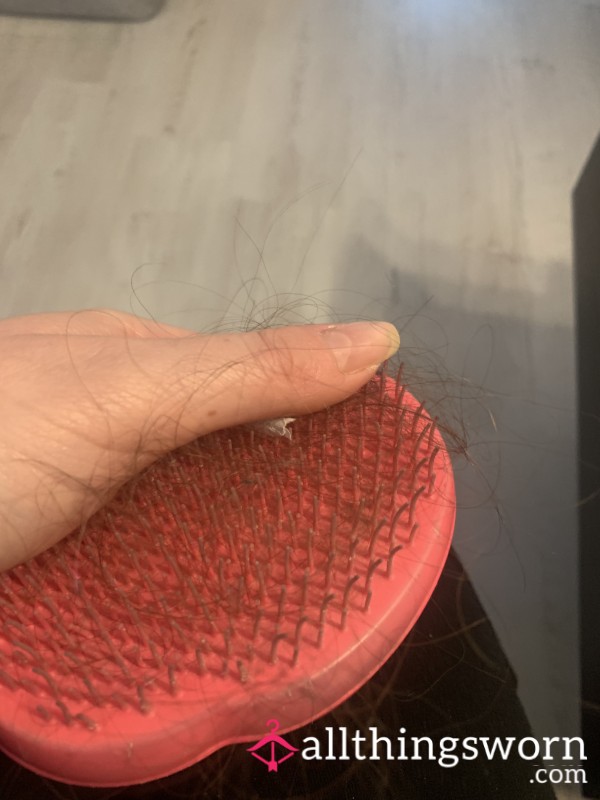 Hairbrush With Hair