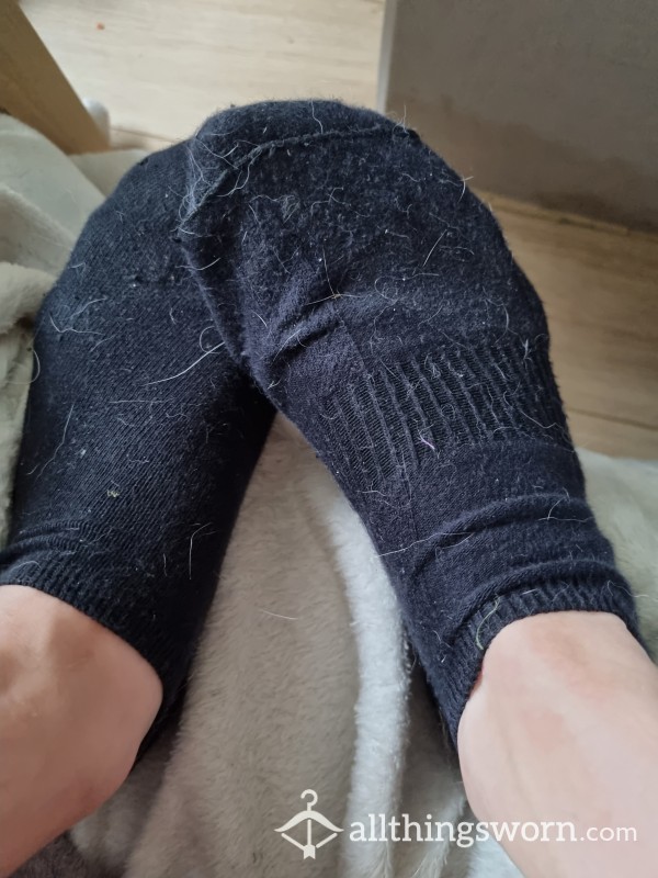 Hairy Smelly Socks