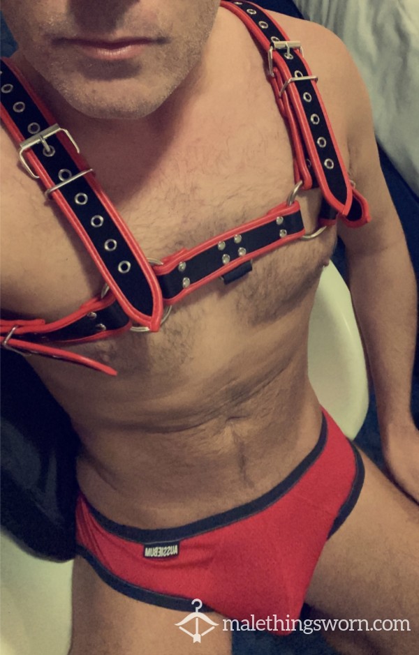 Harness Life