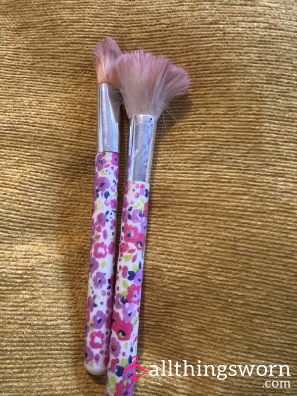 Heavily Used Makeup Brushes