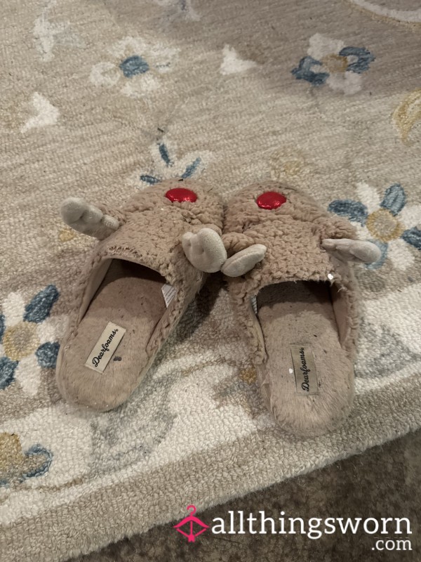 Heavily Worn Slippers