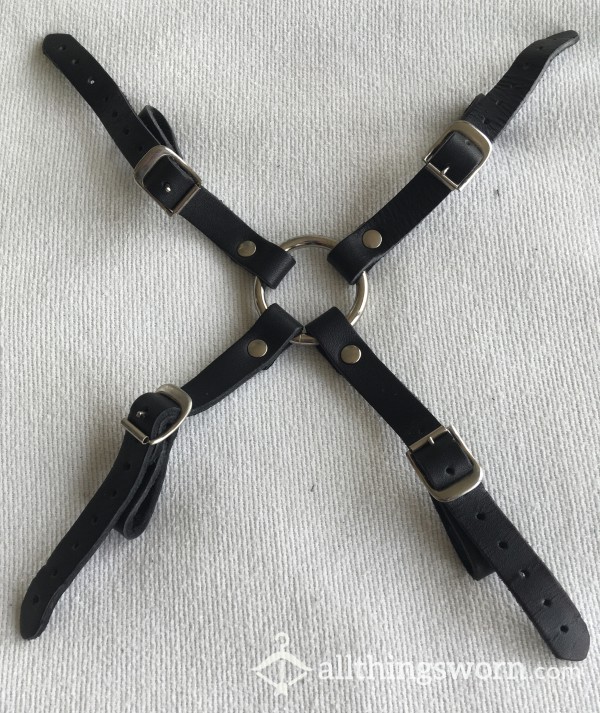 Hogtie X4 Leather