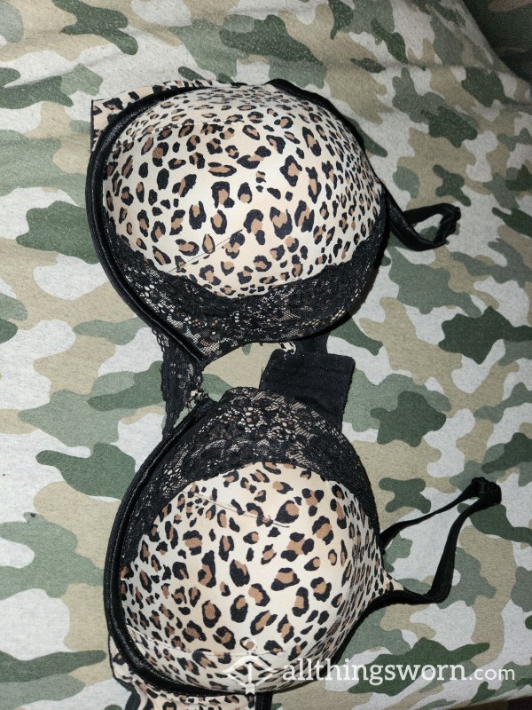 Holy DD Cheetah Print Bra