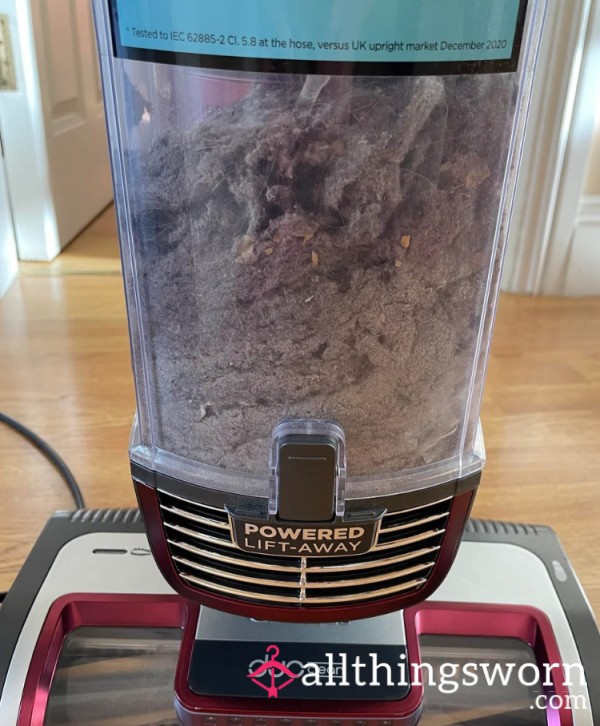 Hoover Dust