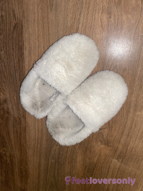 House Slippers