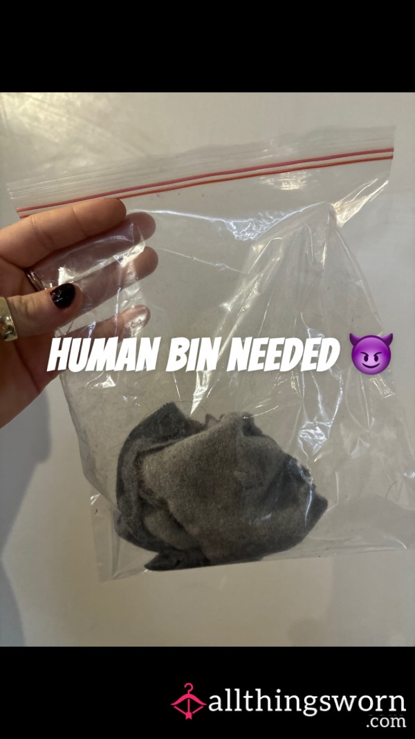 HUMAN BIN NEEDED 😈 🗑️