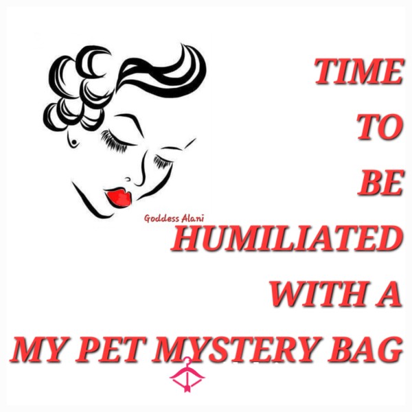 🖤Humiliation Mystery Bags🖤