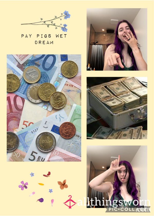 Into Findom? Here’s Some Stuff For You!