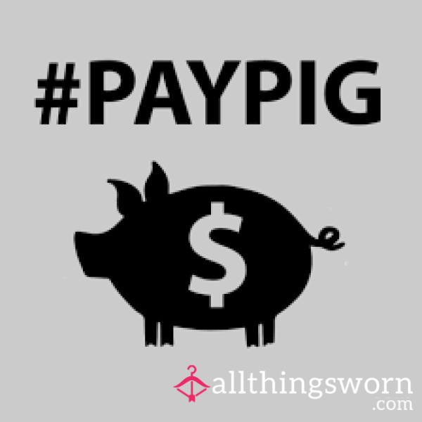 ISO Pay Pig 🐷