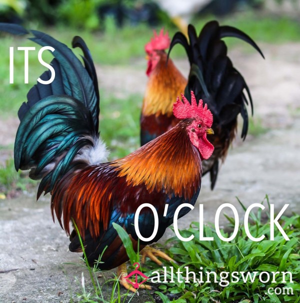 It’s C*ck O’Clock