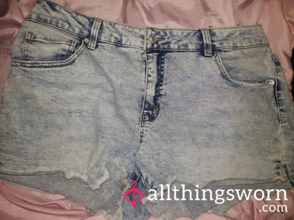 Jean High Rise Shorts (16)