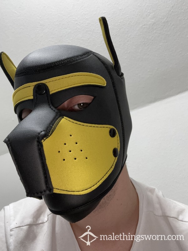 K9 Puppy Mask