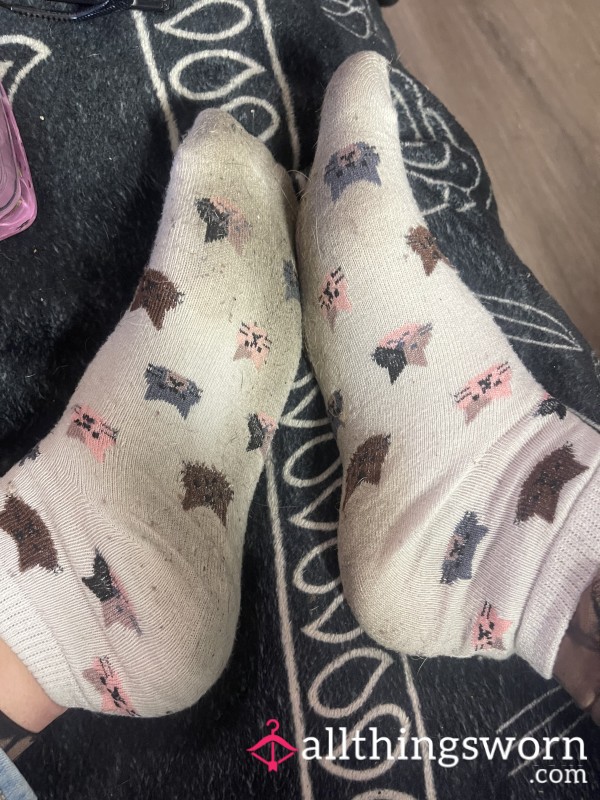 Kitten Socks