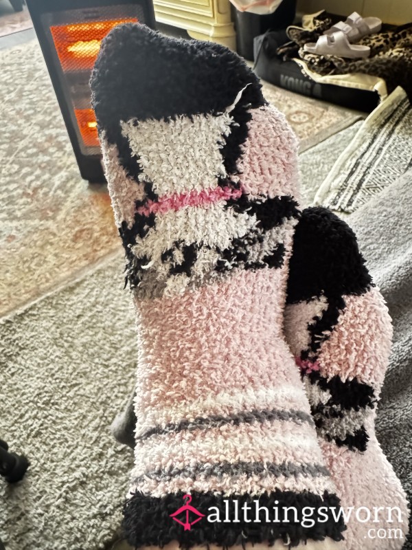 Kitty Dirty Socks