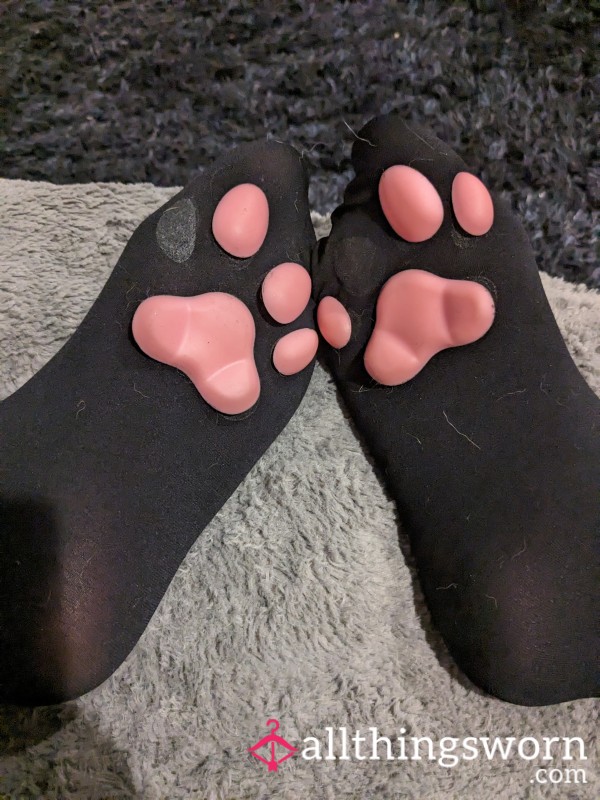 KITTY PAW STOCKINGS 😻