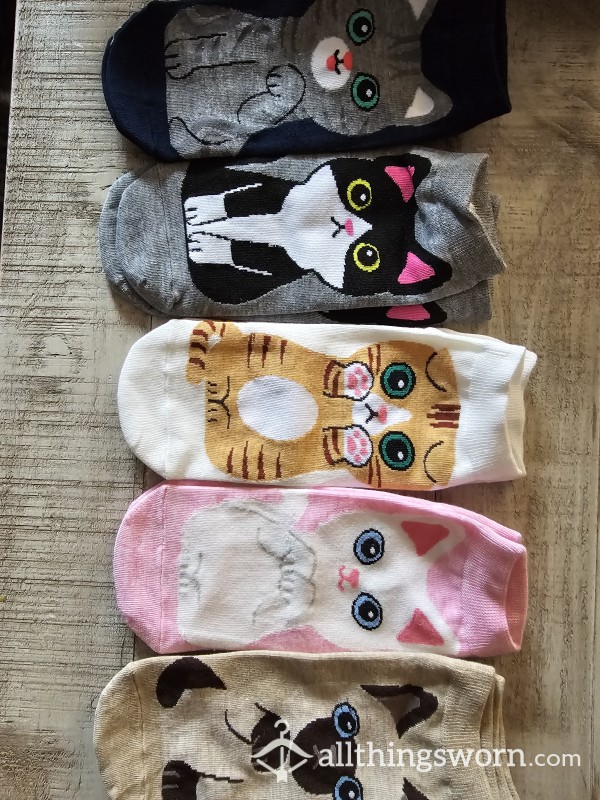 Kitty Sockies 🥰