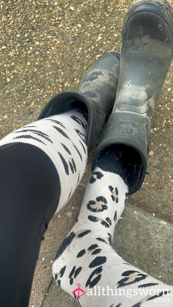 Knee Length Yard Socks 🧦🐴 Worn 2 Days In A Row … In My Horse Riding Wellies