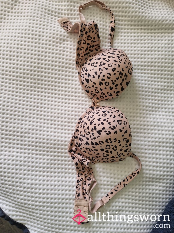 Leopard Print Bra