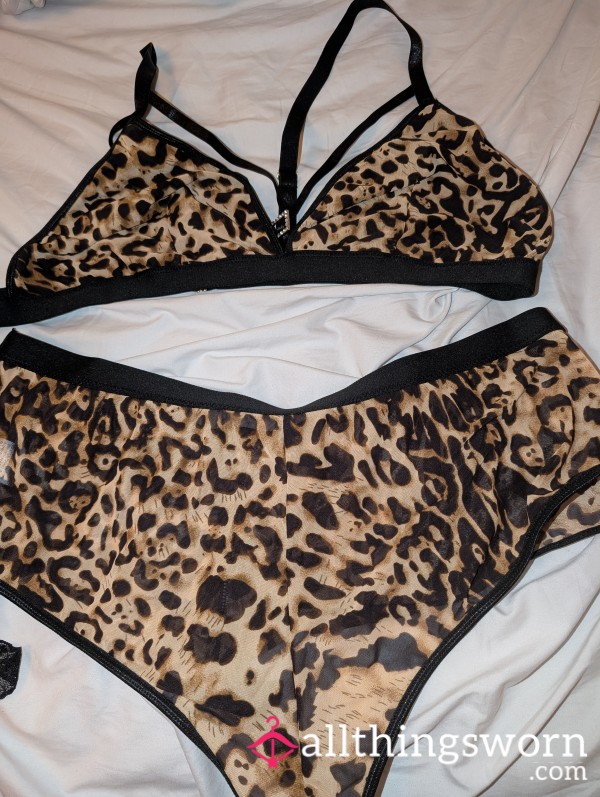 Leopard Print Bralette With Diamante Centre And Briefs/shorts