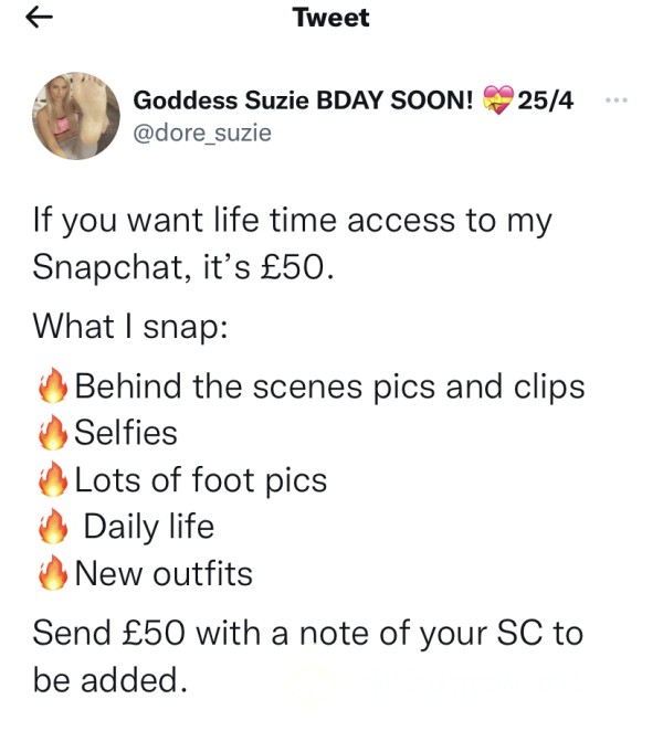 Lifetime Snap Access 👠