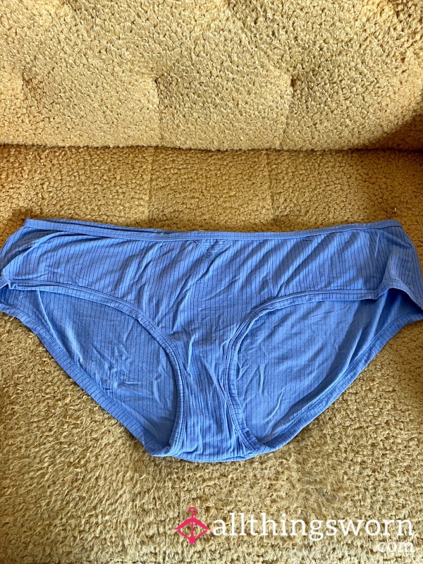 Light Cornflower Blue Ribbed Stretchy Panties (XXL - Aerie)